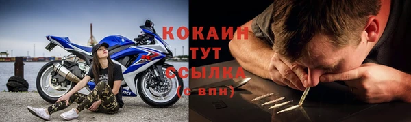 стаф Володарск