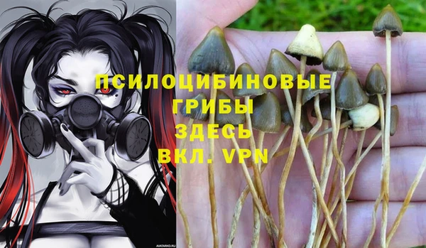 MDMA Premium VHQ Волосово