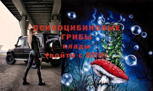 стаф Володарск