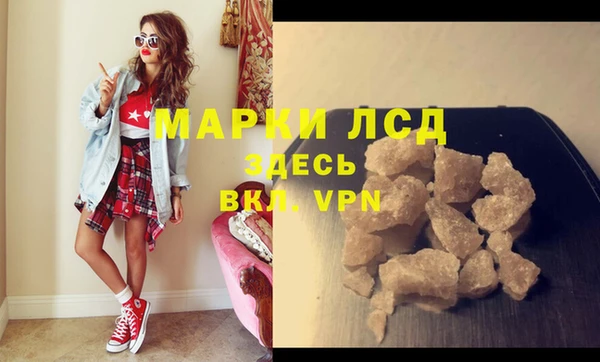 стаф Володарск