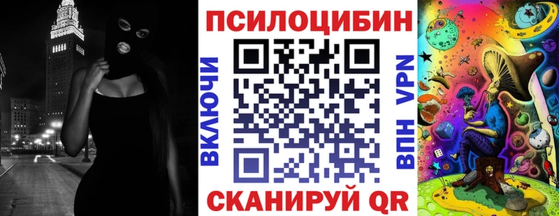 Псилоцибиновые грибы Psilocybine cubensis  Владимир 